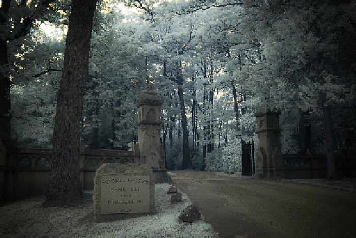 Edgell Grove Cemetery & Mausoleum